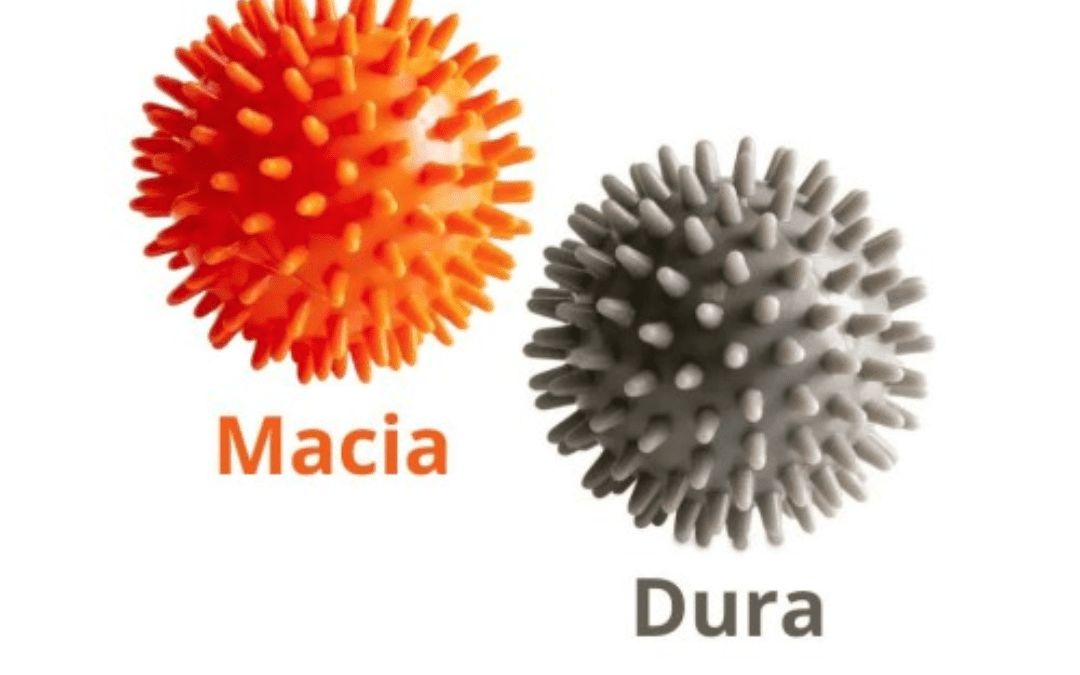 BOLA CRESPA PARA MASSAGEM 7 CM – KIT COM 2 UNID. (1 MACIA + 1 DURA) ACTE