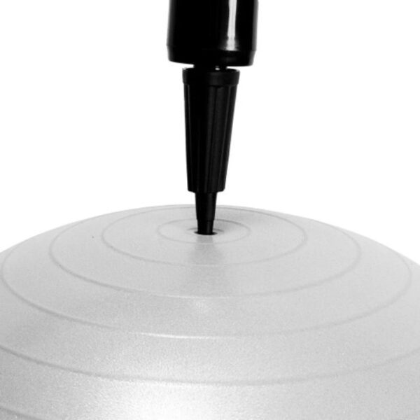 BOLA DE PILATES - 55 CM PRATA - ACTE - Imagem 3