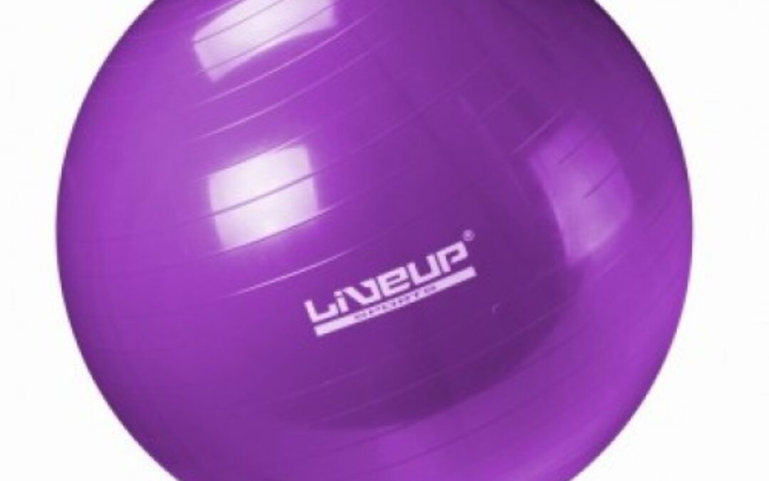 BOLA DE PILATES – 55 CM ROXA – LIVEUP